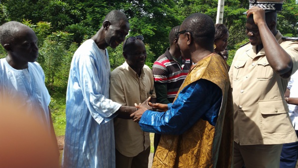 Journée de l'Arbre : Bignona en djihade contre les coupeurs de bois Journée de l'Arbre : Bignona en djihade contre les coupeurs de bois