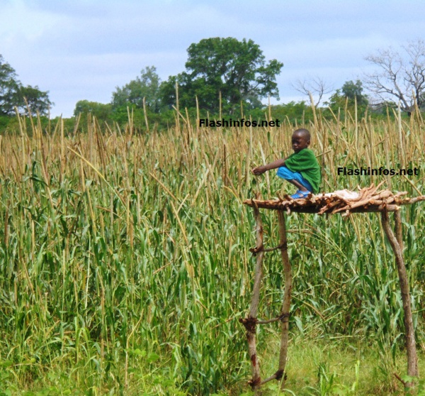 EDUCATION : Kolda "Oubi tey Jang Tey" un concept en panne par endroit. EDUCATION : Kolda "Oubi tey Jang Tey" un concept en panne par endroit.
