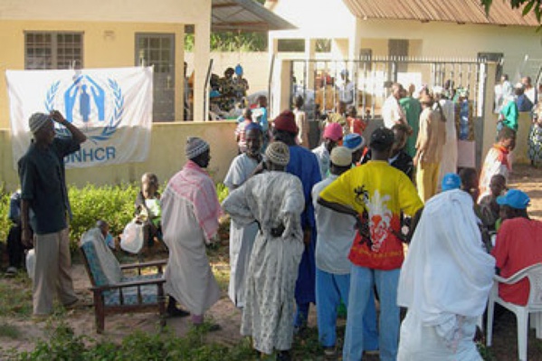 Plus de 1000 réfugiés gambiens à Bignona : Mamina Kamara lance un appel