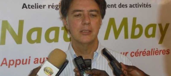 Kolda : Promotion des valeurs céréalières, Natal Mbay mise sur la filière maïs Kolda : Promotion des valeurs céréalières, Natal Mbay mise sur la filière maïs