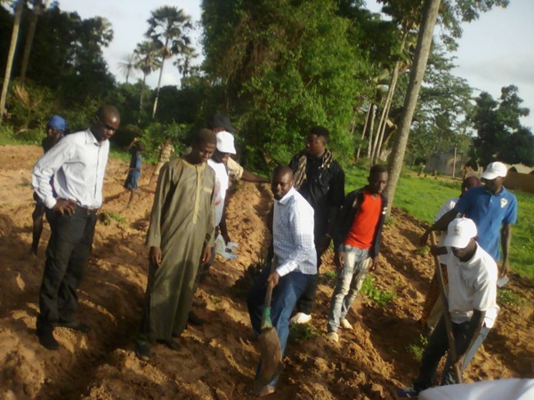 Bignona : Sonko dans son village en mode "Kadiandou"