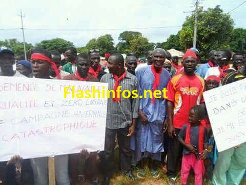 Sédhiou : Les producteurs de Séfa ont marché pour exiger le départ du Coordonnateur du PRODAC