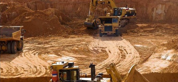 Casamance : Green-Peace s'oppose à l'exploitation du Zircon