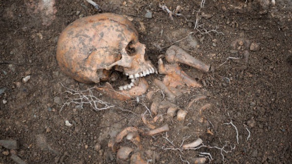 Kolda : Une squelette humain découvert à Saré-Bidji
