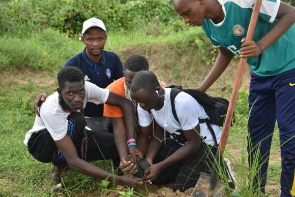Djimbéring : Plus de 6000 plants de Filao reboisés par les jeunes pour lutter contre...