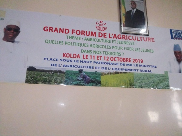 Jeunesse et Emploi : L'agriculture comme  réponse aux préoccupations du CRJ de Kolda