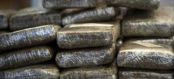 UN HOMME ARRÊTÉ AVEC 1KG DE COCAÏNE À ZIGUINCHOR