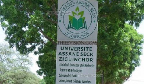 Université Assane Seck de Ziguinchor : Le SAES s’attaque à Cheikh Omar Hann