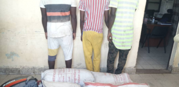 Joal : 3 trafiquants tombent avec 84 kg de chanvre indien Joal : 3 trafiquants tombent avec 84 kg de chanvre indien