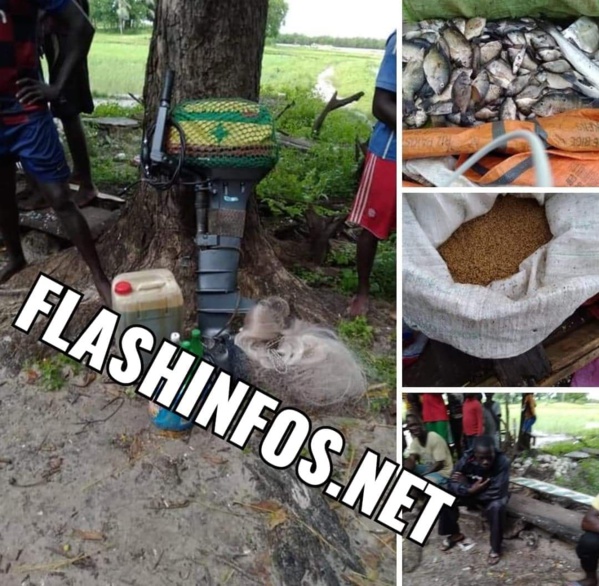 Kafountine : Deux pêcheurs Maliens arrêtés par les habitants de Niomoune Kafountine : Deux pêcheurs Maliens arrêtés par les habitants de Niomoune