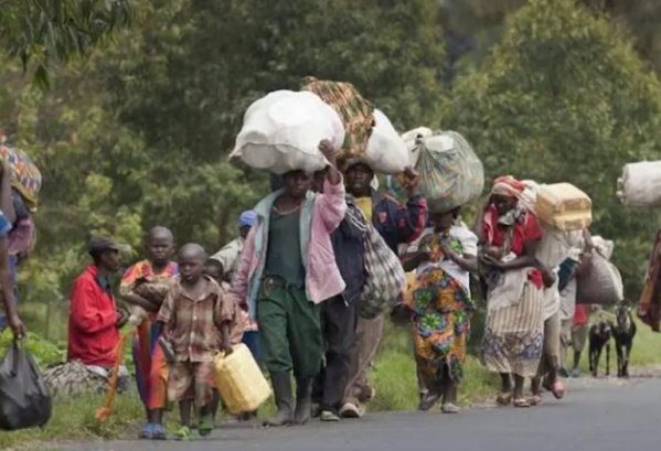 Combats en Casamance: plus de 6000 déplacés et réfugiés en Gambie