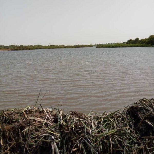 Kaolack: Démarrage des travaux de restauration du Lac de Koutango