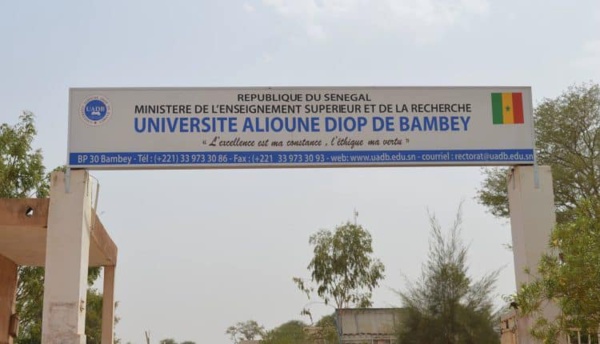Rentrée universitaire : Les étudiants de l'université de Bambey ne comptent pas rejoindre les amphis