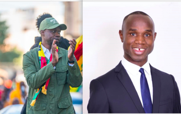 Me Pape Mamaille Diockou : "Le phénomène Ousmane Sonko est l'artisan de cette nouvelle alternance au Sénégal"