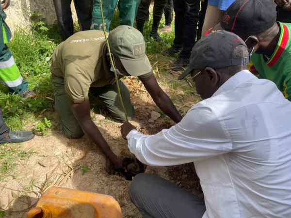 Journée de l'arbre et de nettoiement : Keur-Madiabel a répondu à l'appel du président Diomaye Faye