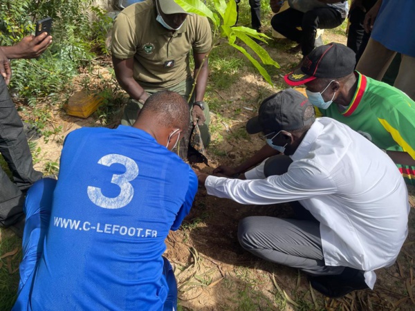 Journée de l'arbre et de nettoiement : Keur-Madiabel a répondu à l'appel du président Diomaye Faye