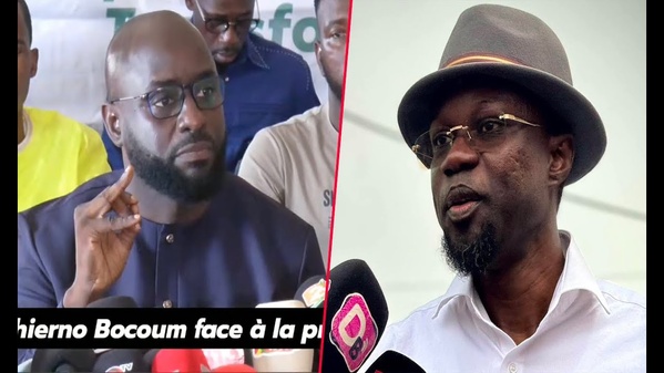 Thierno Bocoum : « Ousmane Sonko veut profiter de son état de grâce pour tenter d’éliminer ses… »