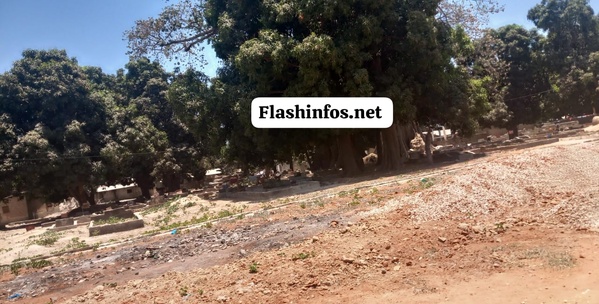 Ziguinchor : Un cimetière à ciel ouvert en plein centre-ville