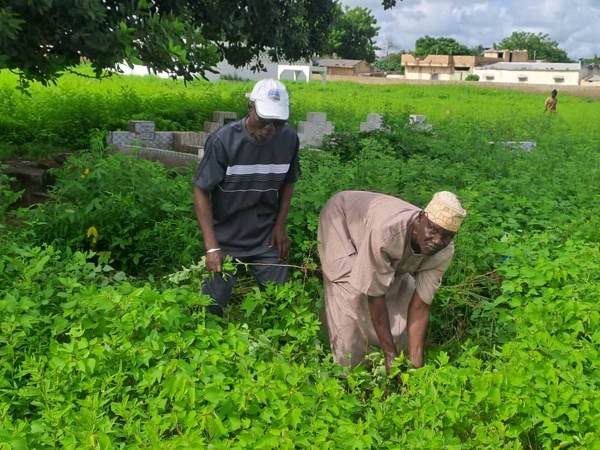 Keur-Madiabel : un don médical du maire Abdoulaye Diatta et une vaste mobilisation citoyenne Keur-Madiabel : un don médical du maire Abdoulaye Diatta et une vaste mobilisation citoyenne