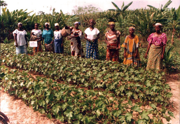 Le Sénégal compte 400 éco-villages Le Sénégal compte 400 éco-villages