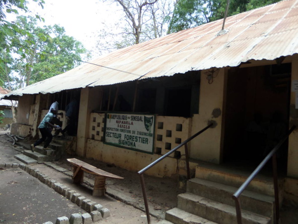 La Honte ! Ce batiment abrite le service départemental des Eaux et Forêts de Bignona La Honte ! Ce batiment abrite le service départemental des Eaux et Forêts de Bignona