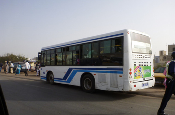 COURSE-POURSUITE, INCONSCIENCE, REMPLISSAGE, ACCIDENTS RÉPÉTITIFS, MUSIQUE À FOND, PORTABLE COLLÉ À L’OREILLE… : LES BUS TATA DE PLUS EN PLUS «FOUS»