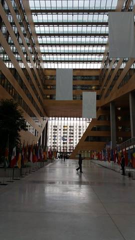 Mamina Kamara au Conseil d'Administration de l'AIRF à Lyon