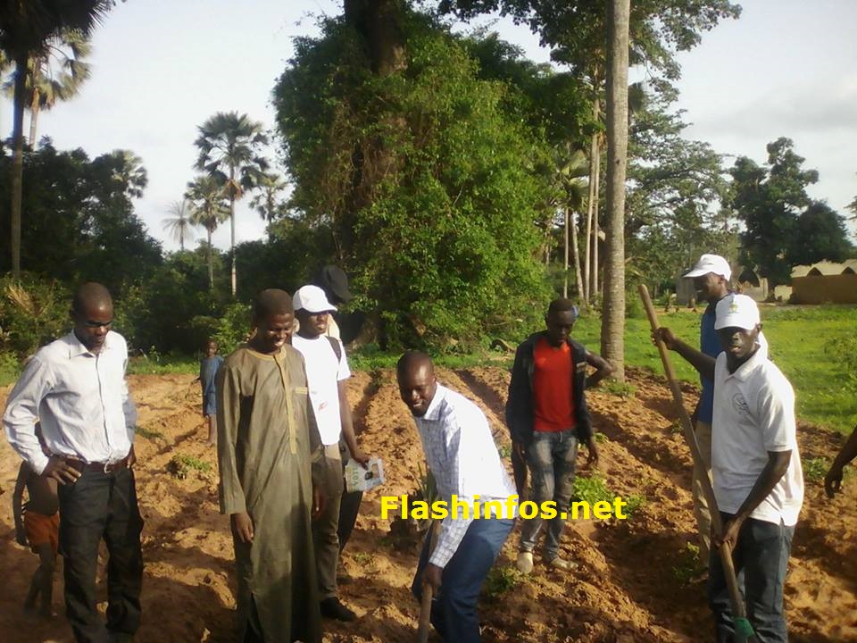 Bignona : Sonko dans son village en mode "Kadiandou"