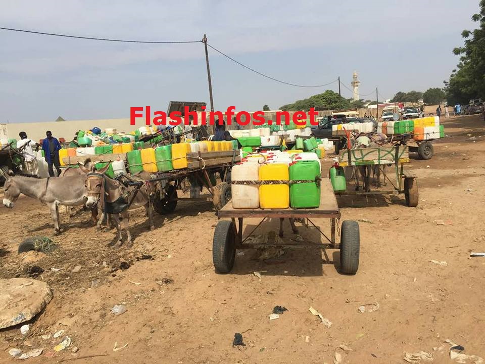 Touba: Plusieurs quartiers privés d’eau depuis 3 jours