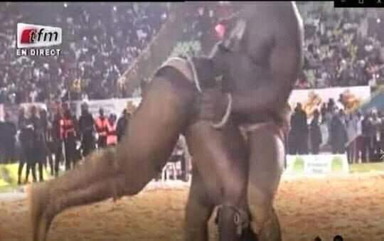 Lutte : Balla Gaye 2 humilie Modou Lo
