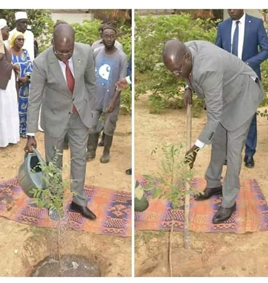 Triste : Regardez comment le ministre de l'environnement célèbre la journée de l'arbre !
