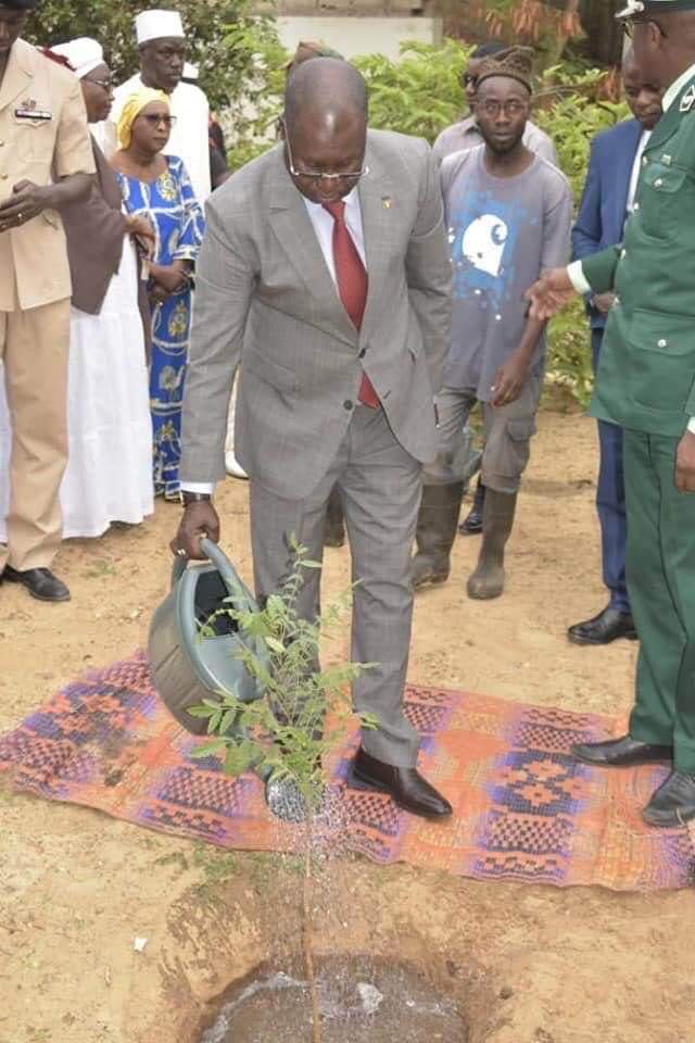 Triste : Regardez comment le ministre de l'environnement célèbre la journée de l'arbre !