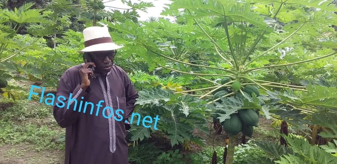 Consommer local : Mamina Kamara montre la voie à Bignona....