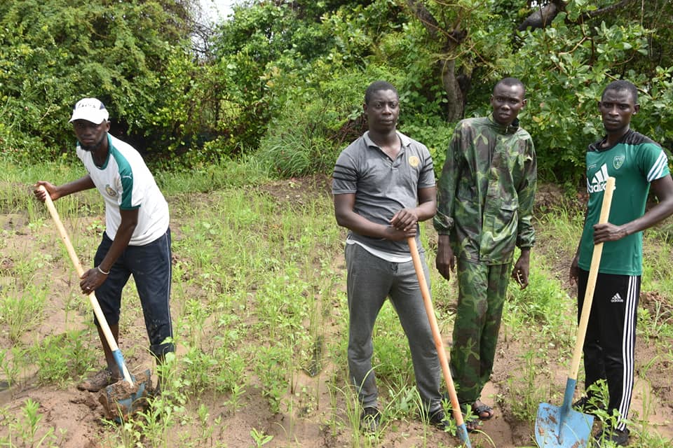 Djimbéring : Plus de 6000 plants de Filao reboisés par les jeunes pour lutter contre...