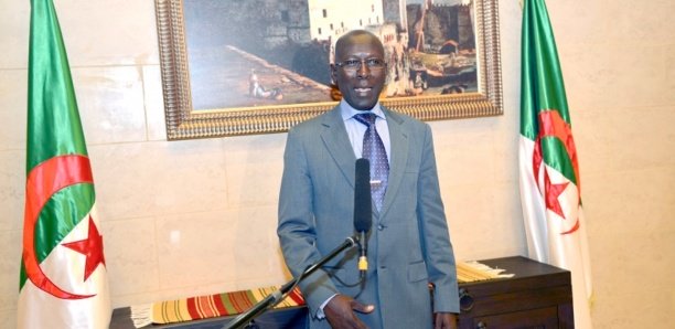 Décès de l'ex-Directeur du CNAMS, Papa Oumar Ndiaye