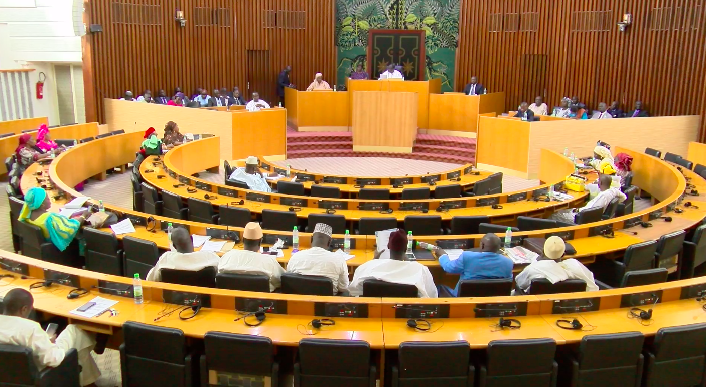 Assemblée nationale : La loi d'habilitation votée à l'unanimité