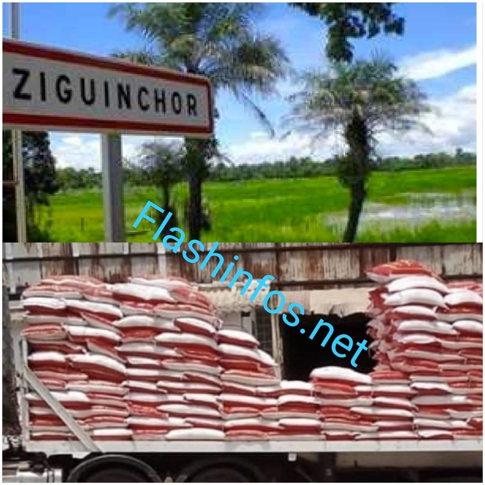 Aide Alimentaire : Macky diminue le quota de Ziguinchor et zappe 2000 ménages ...