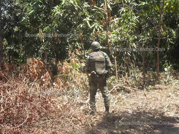 Ziguinchor : Un soldat saute sur une mine à Bissine... 