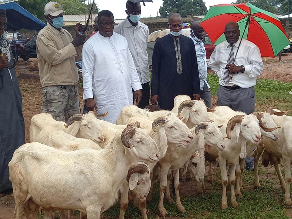 Tabaski : Baldé distrubue des moutons aux imams et à certaines familles de Ziguinchor  Tabaski : Baldé distrubue des moutons aux imams et à certaines familles de Ziguinchor