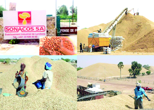 Sonacos Ziguinchor : Des centaines de pères de famille envoyés au chômage.... Sonacos Ziguinchor : Des centaines de pères de famille envoyés au chômage....