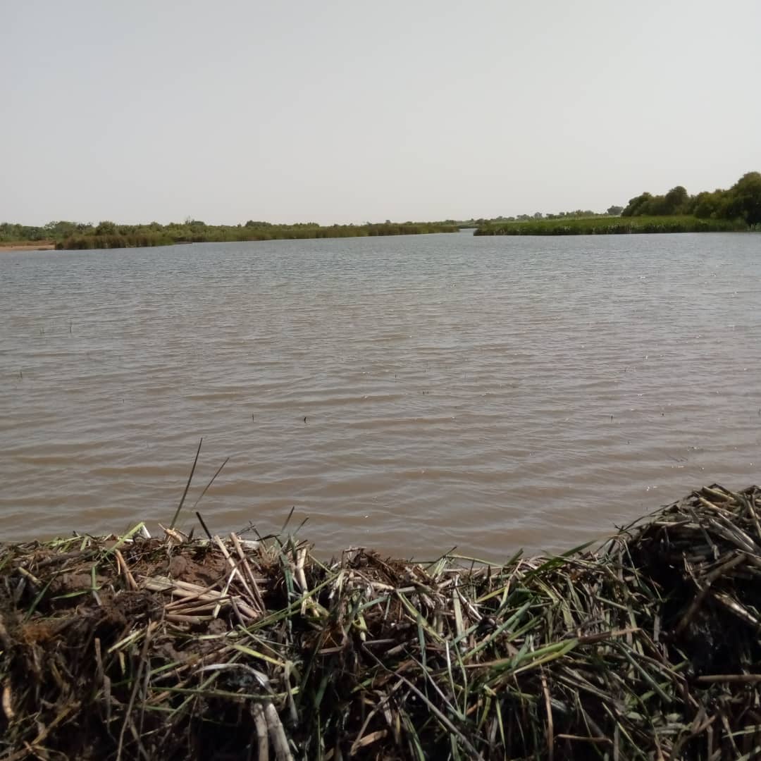 Kaolack: Démarrage des travaux de restauration du Lac de Koutango