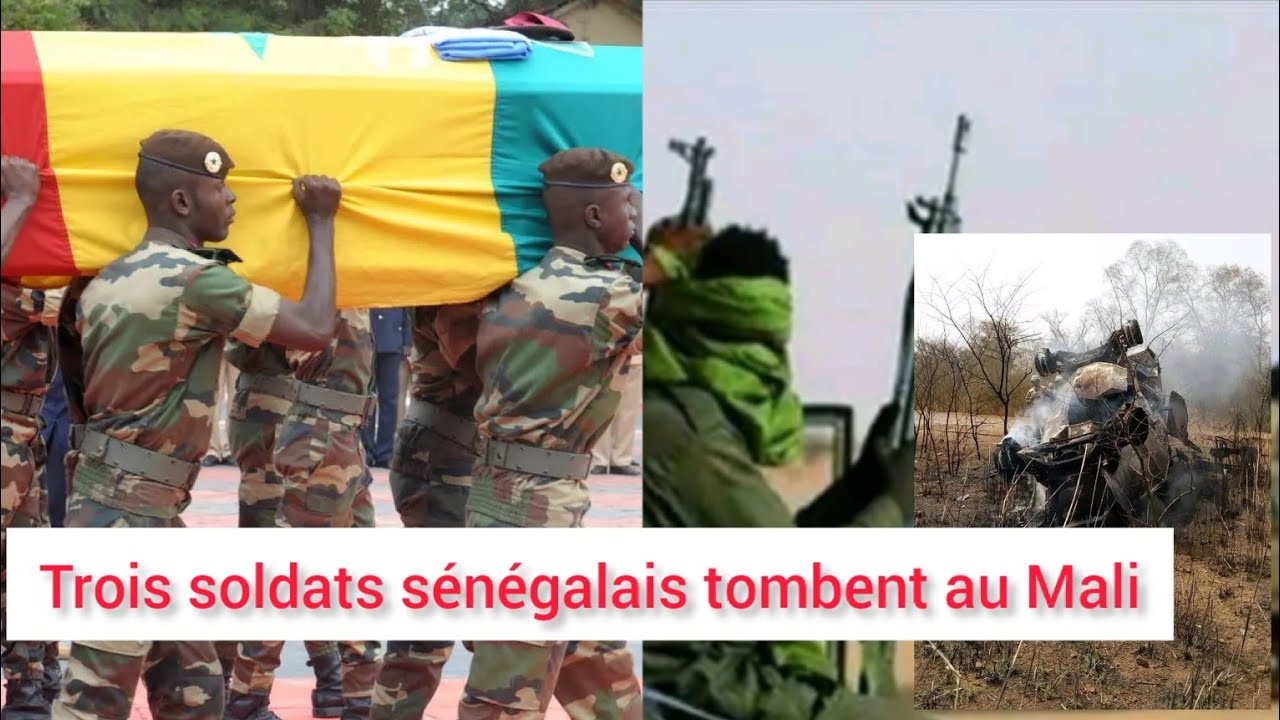 Mali : 3 militaires sénégalais tués et 5 autres blessés