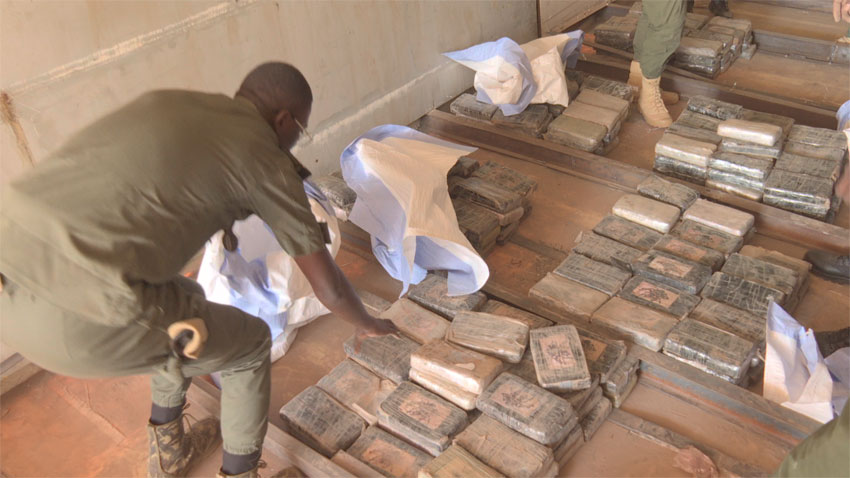 Kidira : La Douane fait une saisie record de 1 137,6  kg de cocaïne