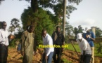Bignona : Sonko dans son village en mode "Kadiandou" Bignona : Sonko dans son village en mode "Kadiandou"