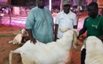 Le mouton du Président Macky Sall