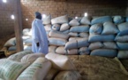 Umoul Qura : El Hadj Sidiya Dramé visite son domaine agricole
