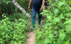 Baldé visite ses champs de Darsalam, Baghagha, Cabrousse... 