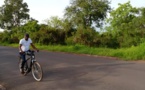 Campagne de séduction : Le Ministre Abdoulaye Diop en vélo à Sédhiou  Campagne de séduction : Le Ministre Abdoulaye Diop en vélo à Sédhiou