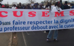 LE SAEMSS ET LE CUSEMS EN GRÈVE AUJOURD’HUI ET DEMAIN