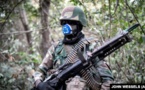Offensive de l'armée en Casamance : 4 rebelles tués!